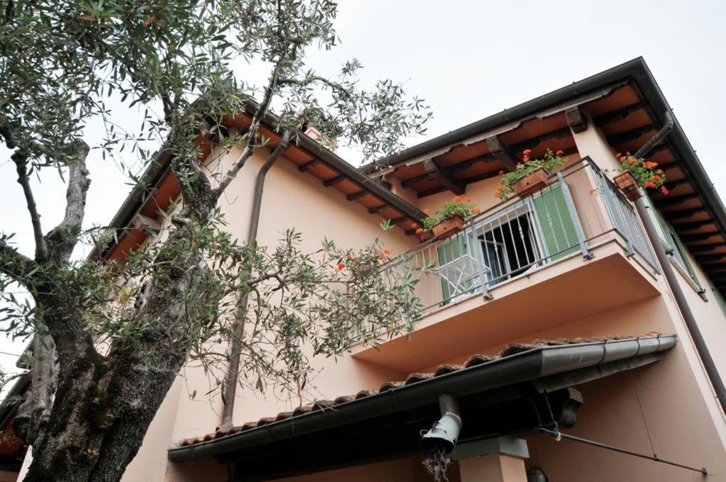 Bed and Breakfast La Madonnina à Querceta Extérieur photo
